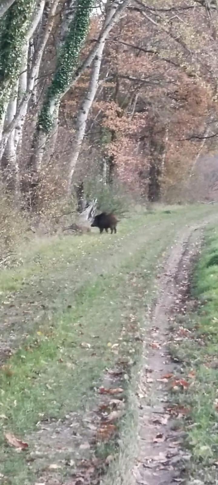 Pleine Nature, 10 Min Zoo Beauval Mareuil Sur Cher Exterior foto