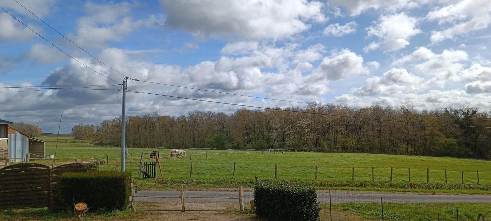 Pleine Nature, 10 Min Zoo Beauval Mareuil Sur Cher Exterior foto